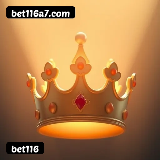 Suporte 24 horas bet116